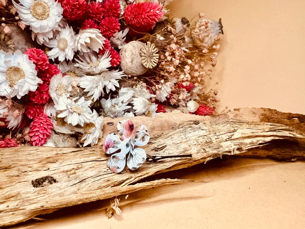 IMG_2317 Grande.webp